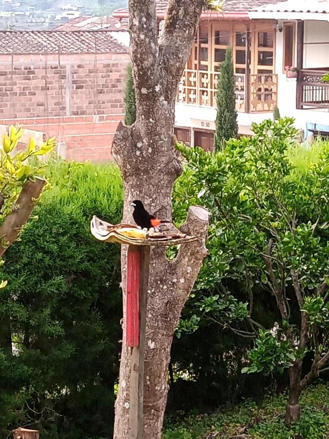 Bird House - Apartament Jardín Zewnętrze zdjęcie