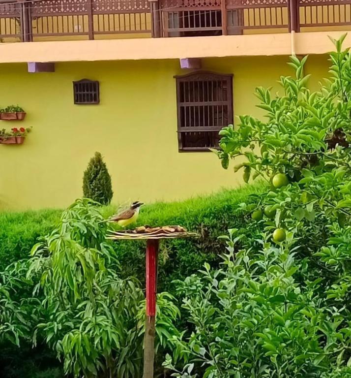 Bird House - Apartament Jardín Zewnętrze zdjęcie