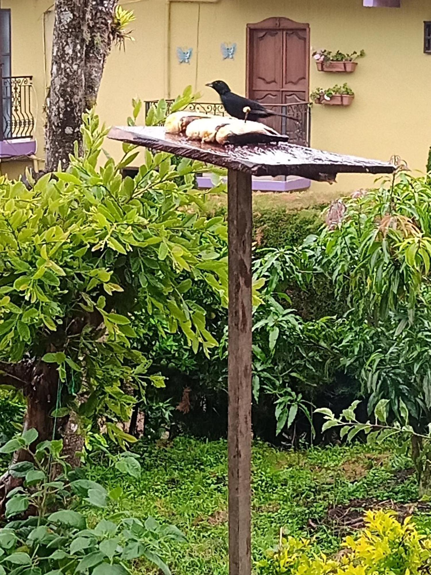 Bird House - Apartament Jardín Zewnętrze zdjęcie