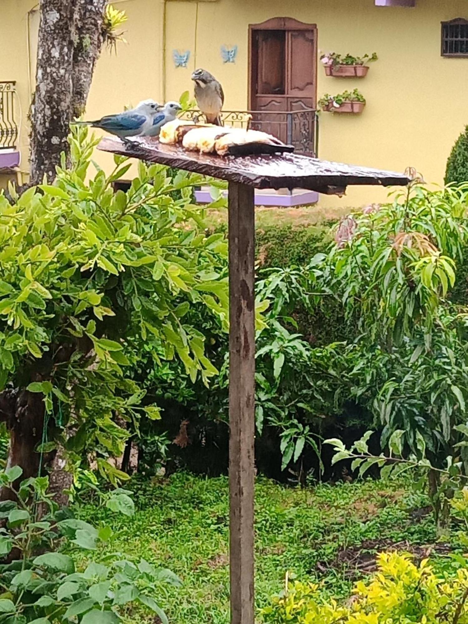 Bird House - Apartament Jardín Zewnętrze zdjęcie
